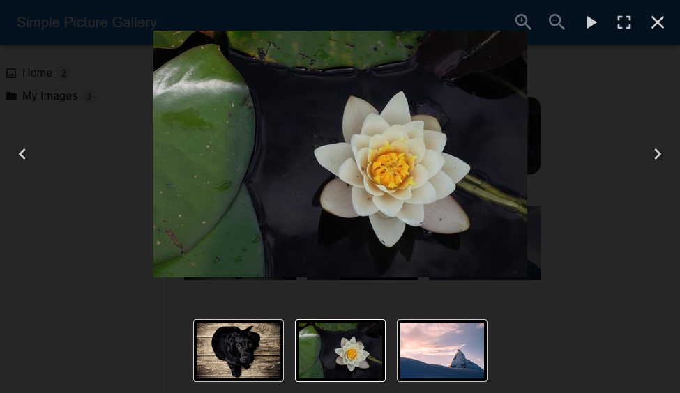 Simple Picture Gallery lightbox